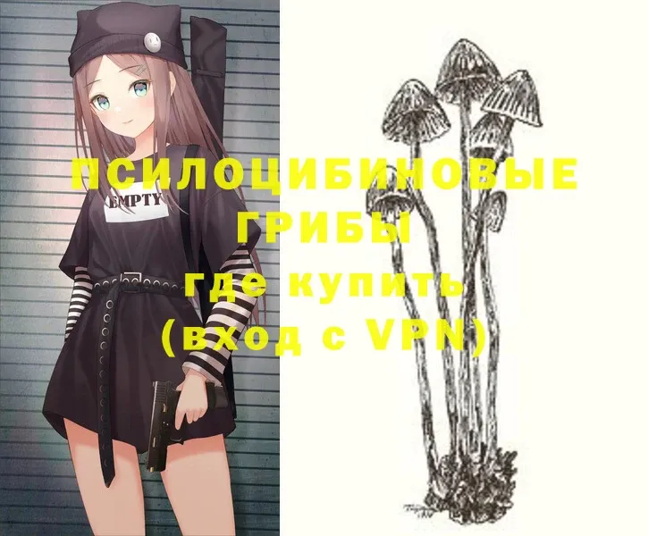 Псилоцибиновые грибы Psilocybe  Луховицы 